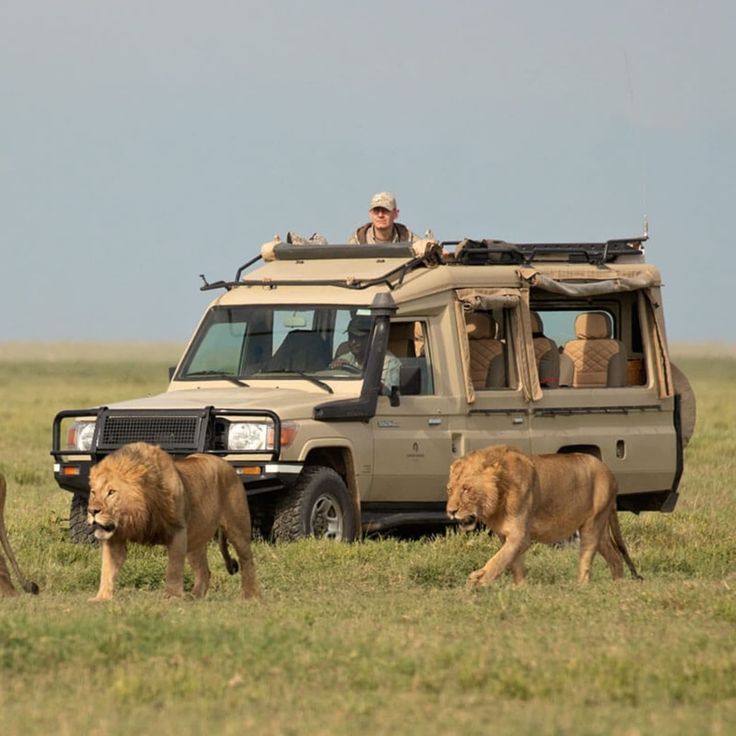 Serengeti Safari Camp